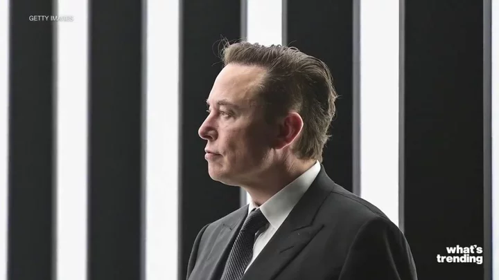 Former Elon Musk colleague reveals Twitter boss ‘seems quite lonely’