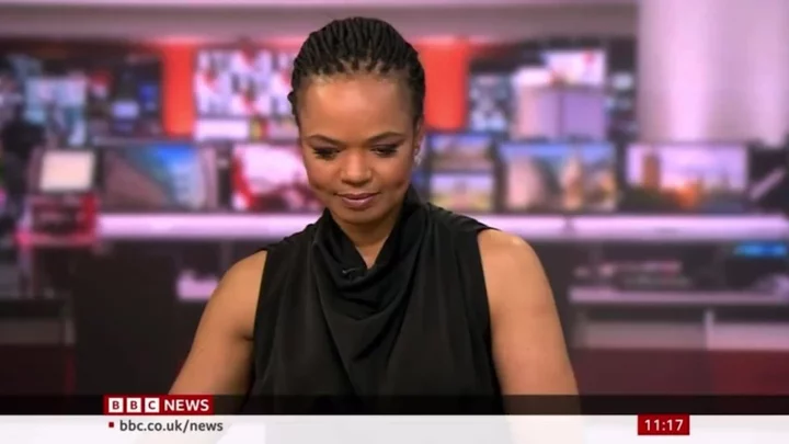 BBC News guest handles ‘amazing’ cat interruption like a pro