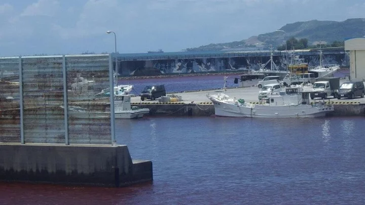 Japan: Okinawa port turns blood red after beer factory leak