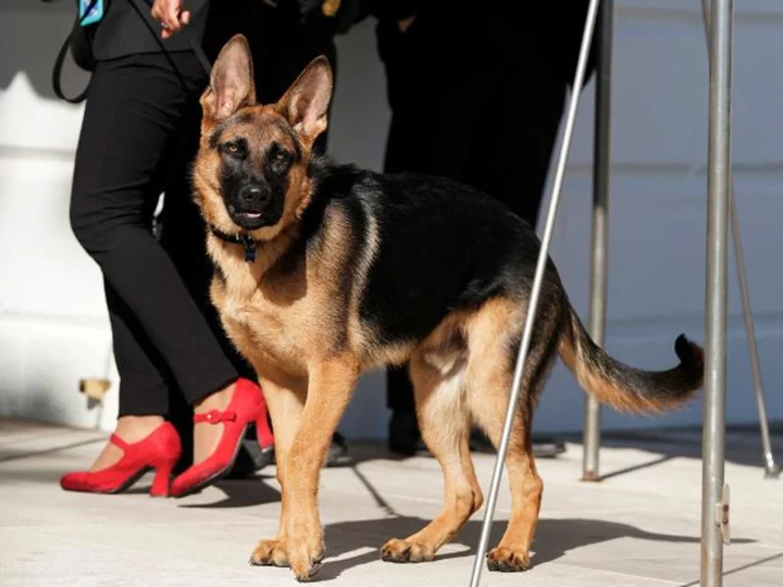 Bidens' dog, Commander, involved in more White House biting incidents than previously reported