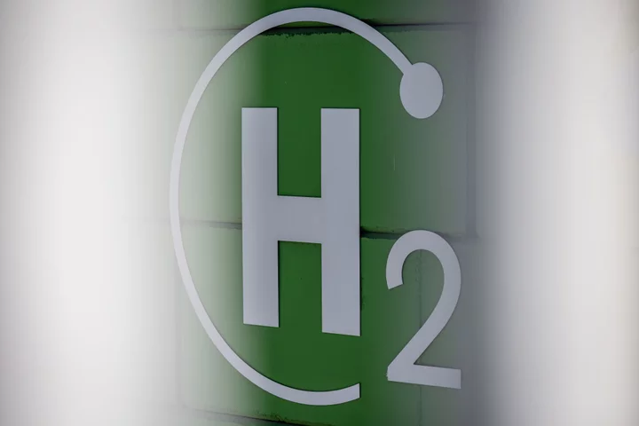 EU’s Push on Hydrogen Infrastructure Alarms Green Groups