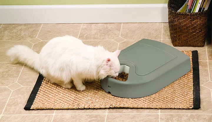 The best automatic cat feeders to keep your pet fed while you're away